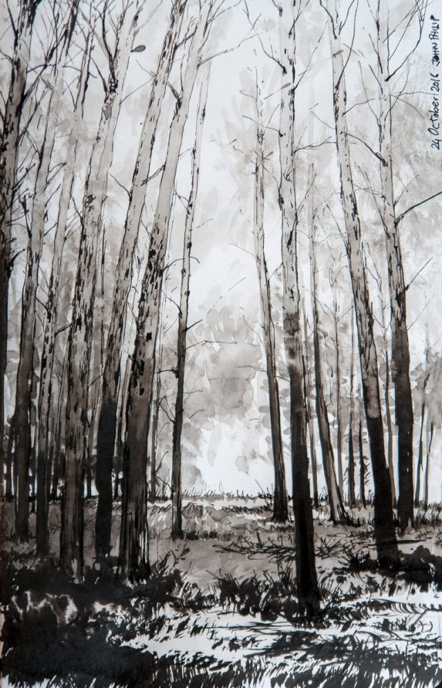 Forest in Ink – John Philip