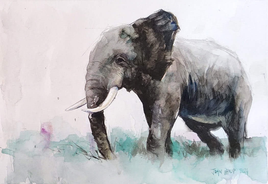 Elephant in watercolour